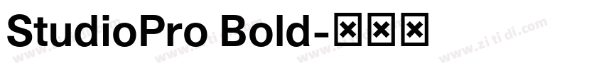 StudioPro Bold字体转换